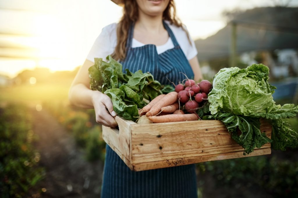 Join a Community Supported Agriculture Program to Save on Food