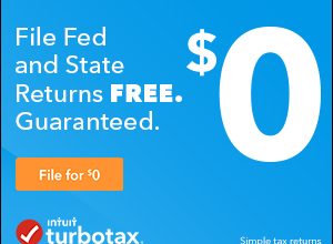 Turbo Tax Free