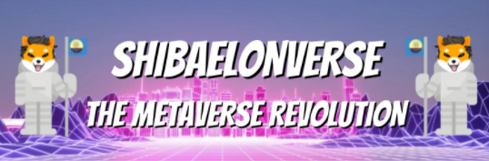 ShibaElonVerse project to launch its own NFT game within a 1,5month